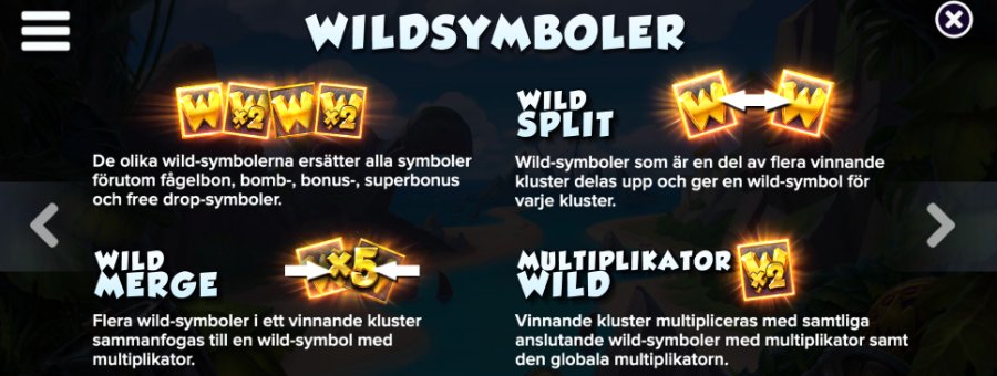 Wilds i Pirots X