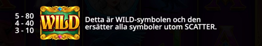 Wild Angel Sinner