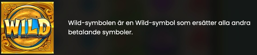 Wild symbol