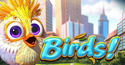 Birds