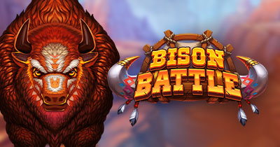 Bison Battle