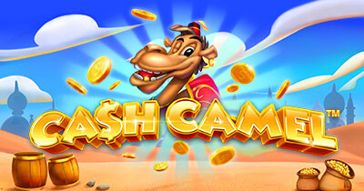 Cash Camel