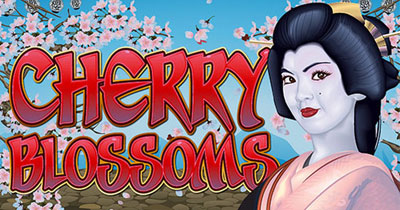 Cherry Blossoms