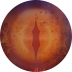 Dragon’s Fire MegaWays