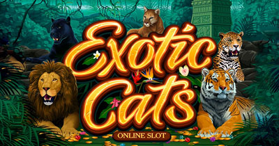 Exotic Cats