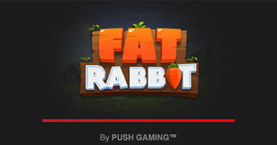 Fat Rabbit