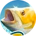 Golden Catch