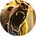 Grizzly Gold