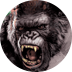 King Kong
