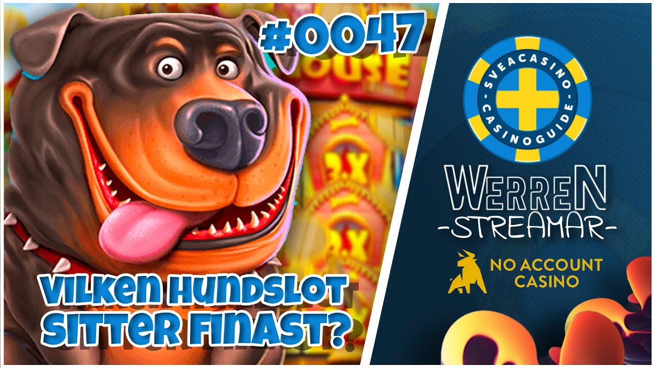 Sveacasino - Recenserar Dog House serien!
