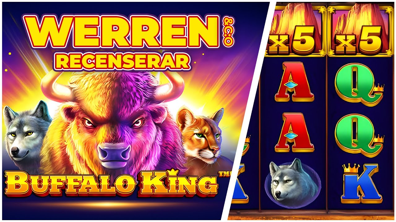 WerreN testar Buffalo King!