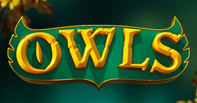 Owls