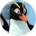 Penguin Splash