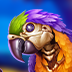 Pirate Multi Coins