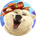 Polar Paws