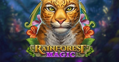 Rainforest Magic