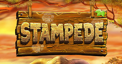 Stampede