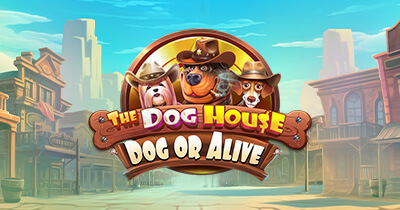 The Dog House – Dog or Alive