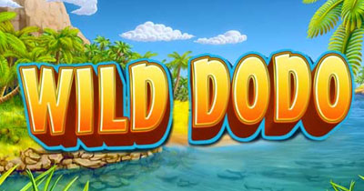 Wild Dodo