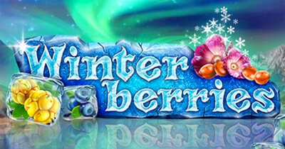 Winterberries
