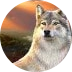 Wolfpack Pays